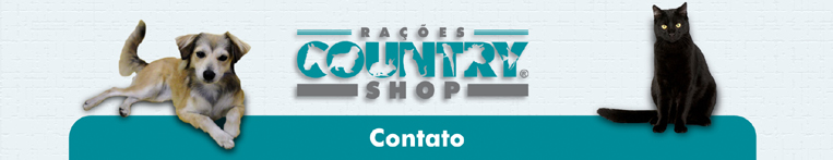 contato